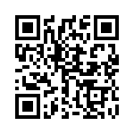 1729131 QRCode