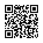 1731100065 QRCode