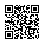1731100082 QRCode