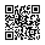 1731617 QRCode