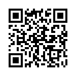 17336C QRCode
