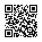 17341101102 QRCode