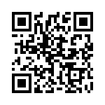 1738704 QRCode