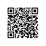 173D336X9025YE3 QRCode
