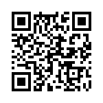 17410722204 QRCode