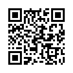 17461442207 QRCode