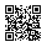 17461442210 QRCode