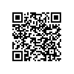 178-009-313R691 QRCode