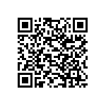 178-025-613R481 QRCode