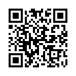 17880-4SG-300 QRCode