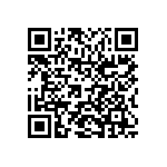 1808Y0250393MXR QRCode