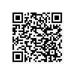 189-025-313R691 QRCode