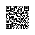 189-025-613R691 QRCode