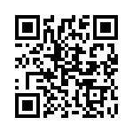 1919763 QRCode