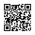 19200160295 QRCode
