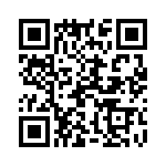 19300061250 QRCode