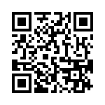 19300160538 QRCode