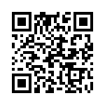 19300160736 QRCode