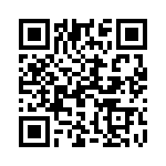 19300160738 QRCode