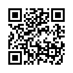 19300161291 QRCode