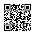 19300161296 QRCode