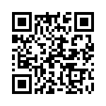 19300161751 QRCode
