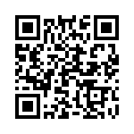 19300480449 QRCode