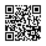 19396060545 QRCode