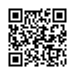 19396240545 QRCode