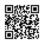 19396240548 QRCode