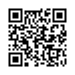 19398100545 QRCode