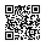 19411240273 QRCode