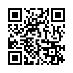 19501331 QRCode