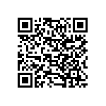 197-078-213L001 QRCode
