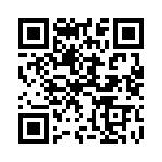 1N5333BRLG QRCode