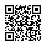 1N991B QRCode