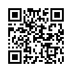 1PMT5938-TR13 QRCode