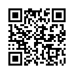 2-1377173-6 QRCode