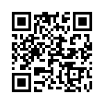 2-1705300-3 QRCode