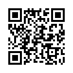 2-1734493-0 QRCode