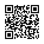 2-1776275-4 QRCode