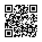 2-487938-4 QRCode
