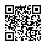 2-5176381-1 QRCode