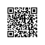 20020110-D041A01LF QRCode