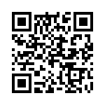 20100320021 QRCode