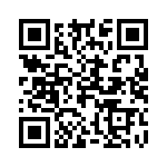 20100630301P QRCode