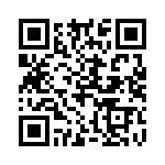 20101250301P QRCode