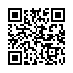 20101600301P QRCode