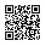 201R07S0R9CV4T QRCode