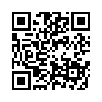 2130133300 QRCode